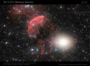 SH 2-274 (Medusa Nebula)_signed_90%.jpg