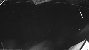 sp214 - M20240217_051733_BYDERAZHNOE_30.jpg