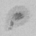 Spot1v.jpg