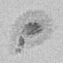 Spot2v.jpg