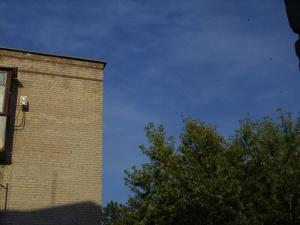 SS850758_.jpg