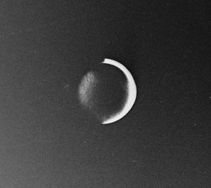 SS854754_1.jpg