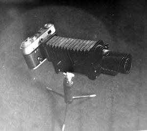 SS854758_1.jpg