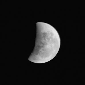 SS854838_1.jpg