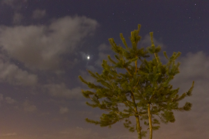 Venus-and-Pleyad-03.04.2020-23h-36m--f--37-mm-A-4-Texp-5sec-ISO-3200-small.png