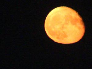 vlcsnap-2016-10-18-20h50m58s194.jpg