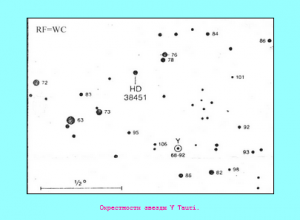 wc Tauri.png