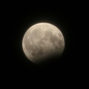 x_e25199a7.jpg